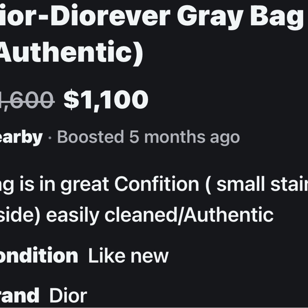 Dior Gray Crossbody Bag - Picture 7 of 7